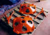 g_hubs.jpg (50051 bytes)