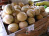 cantalope.JPG (90184 bytes)